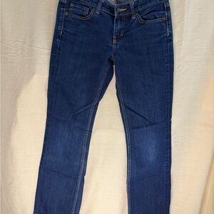 Banana Republic Dark Blue Straight Leg Jeans